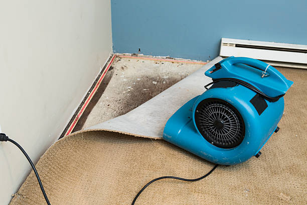 Best Flood damage cleanup  in Strasburg, OH